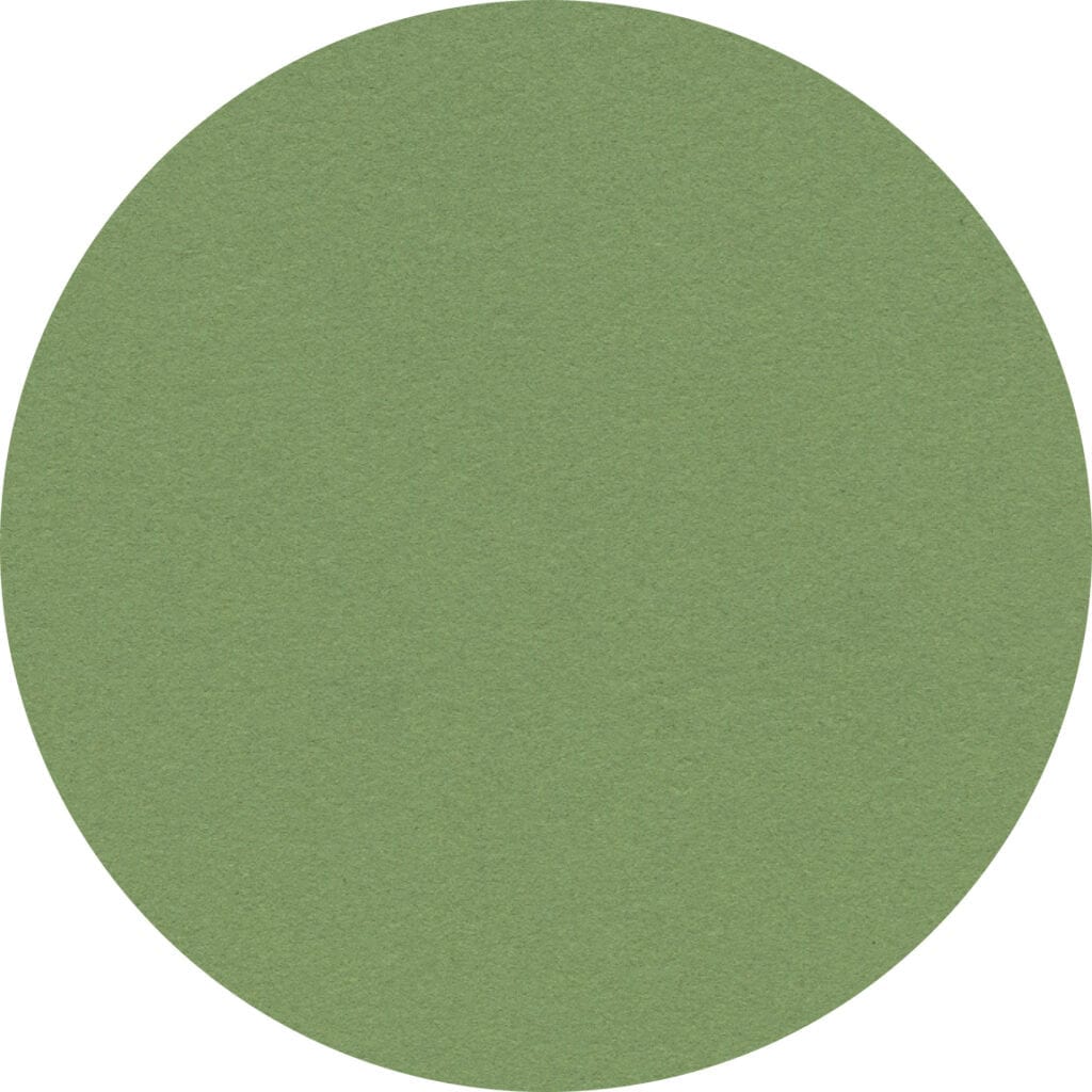 11601.337 Chameleon Pinning Shapes Round