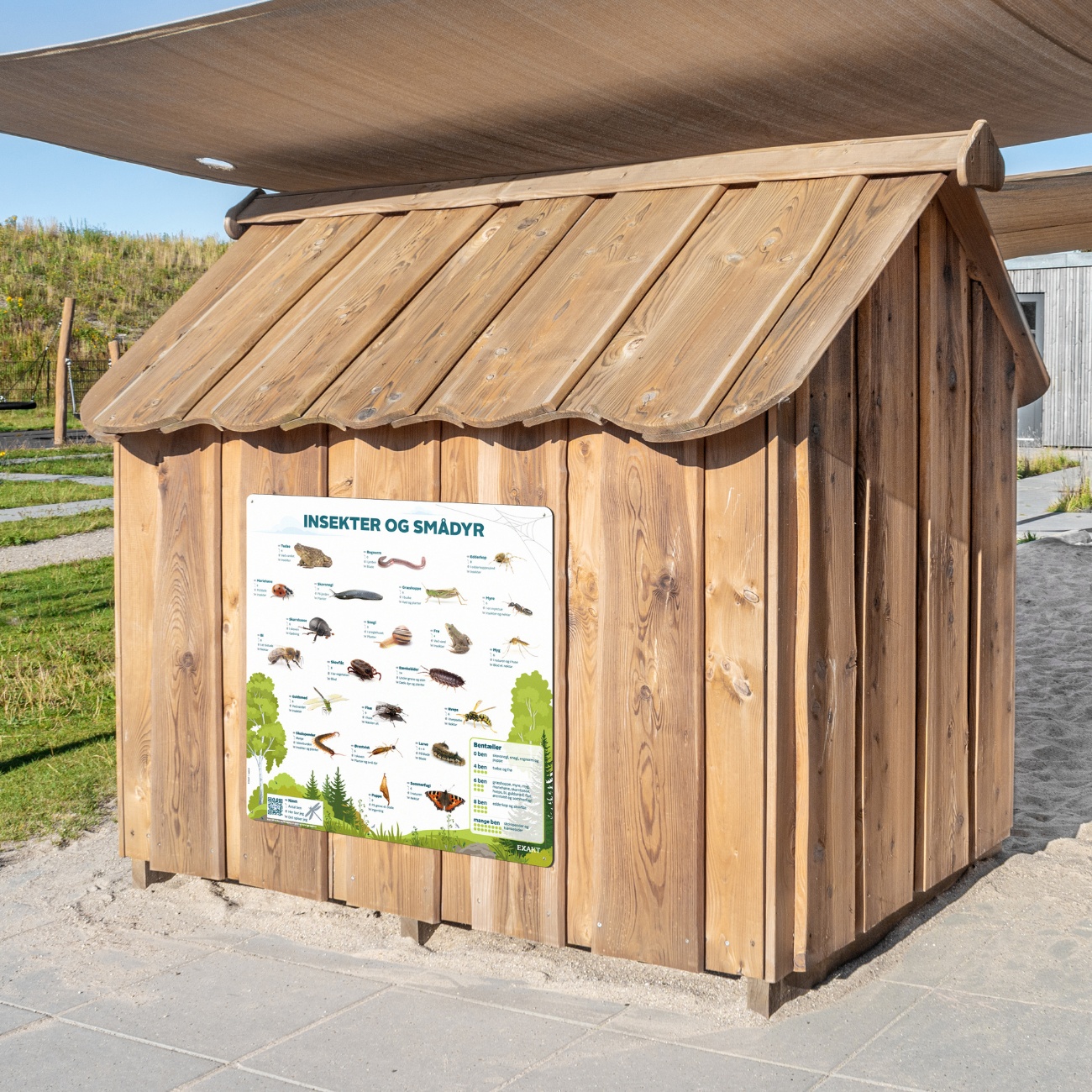 Original læringstavle fra EXAKT med temaet Insekter og smådyr