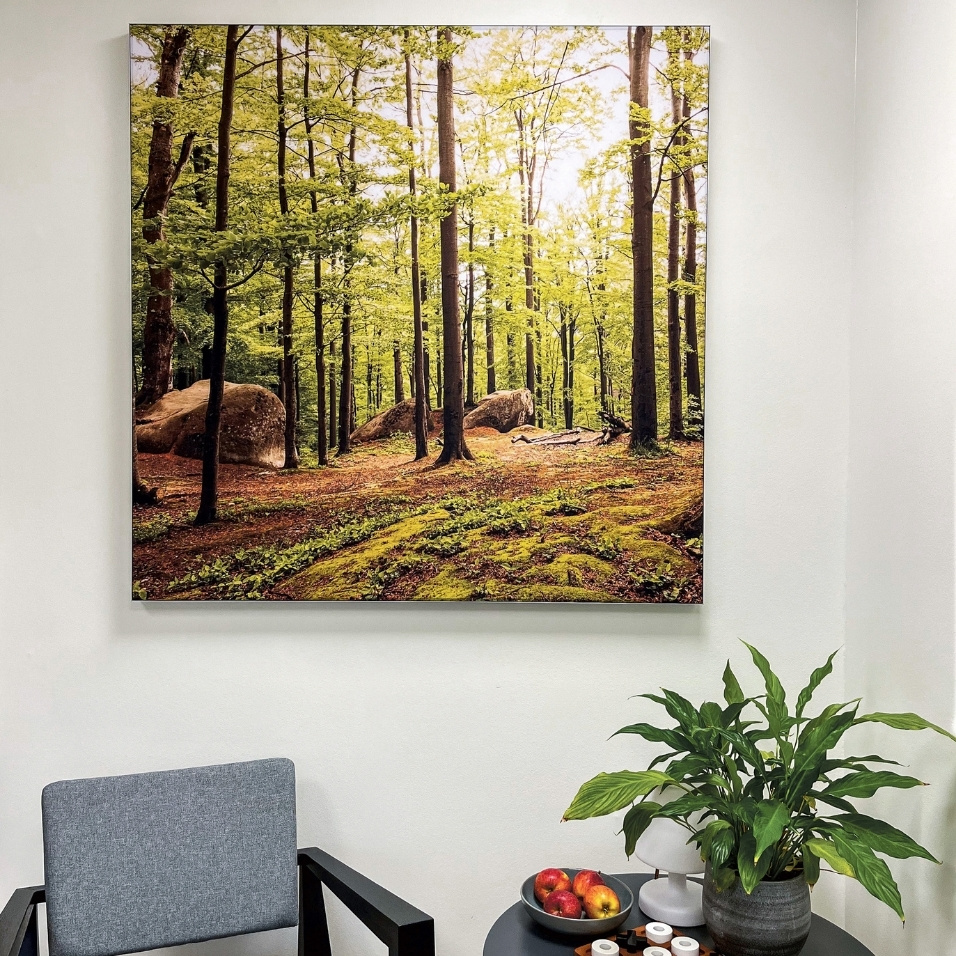 Akustikbillede med naturmotiv til plejesektor