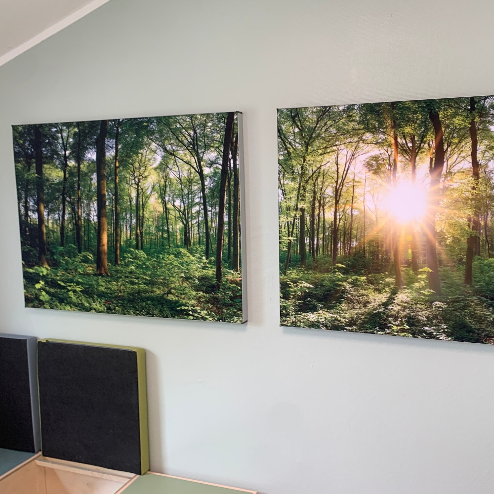 To akustikbilleder med skovmotiv til dagtilbud