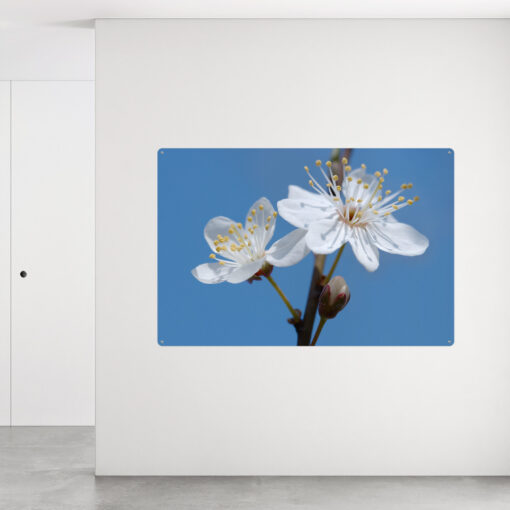 Skilteplade med blomster