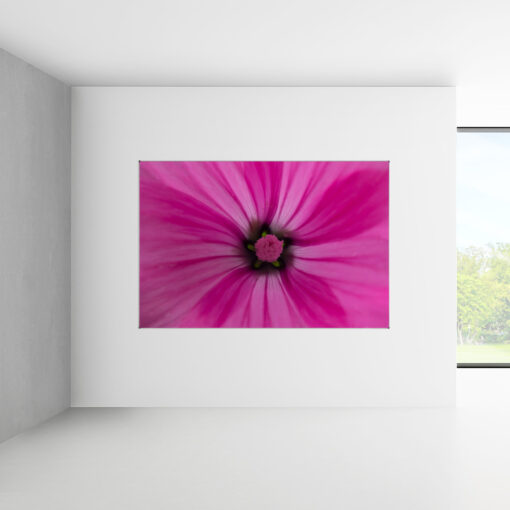 X-ramme blomster