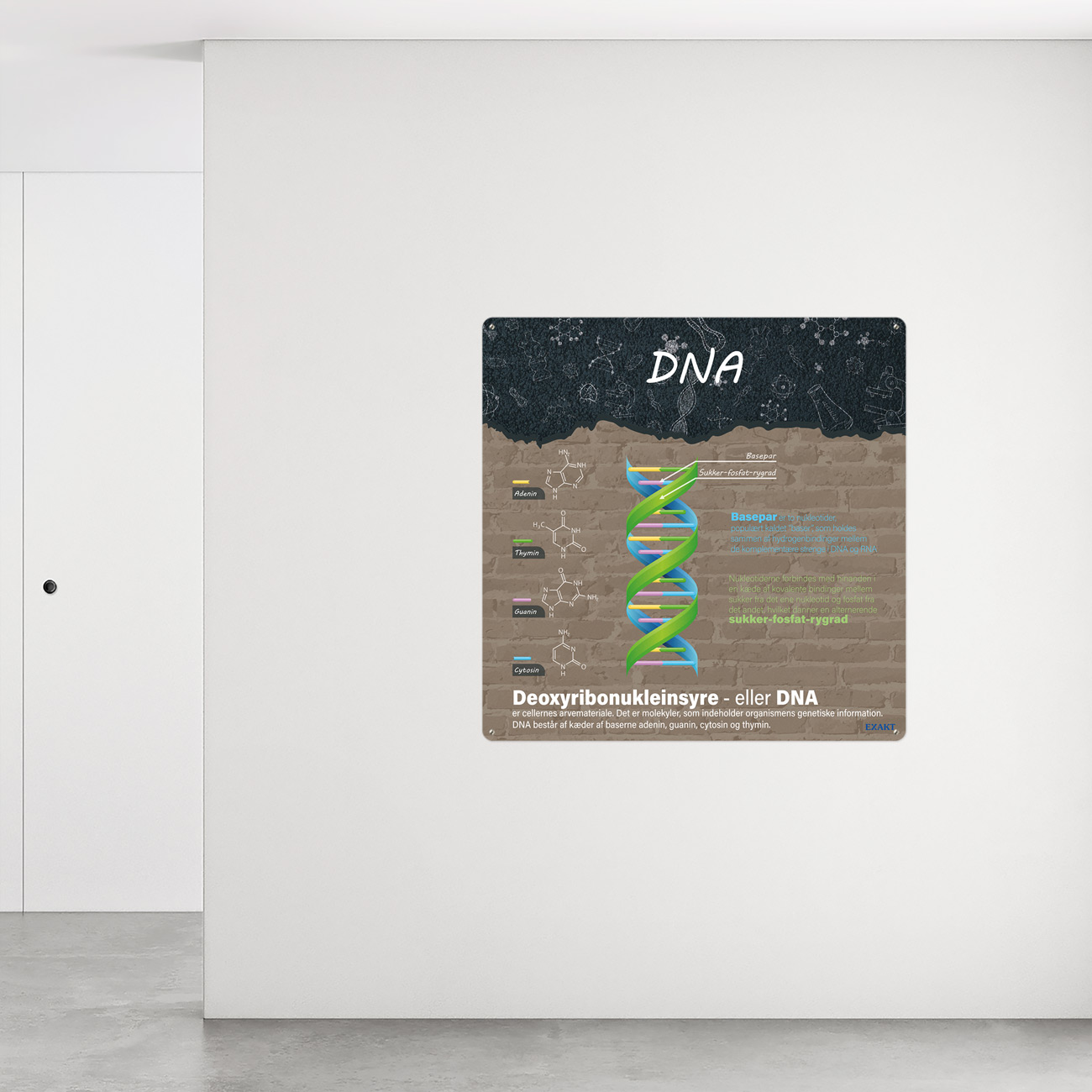 Design med DNA