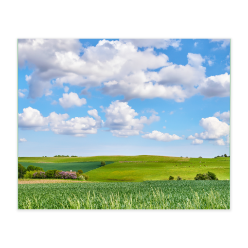 Akustikbillede med motiv af en mark