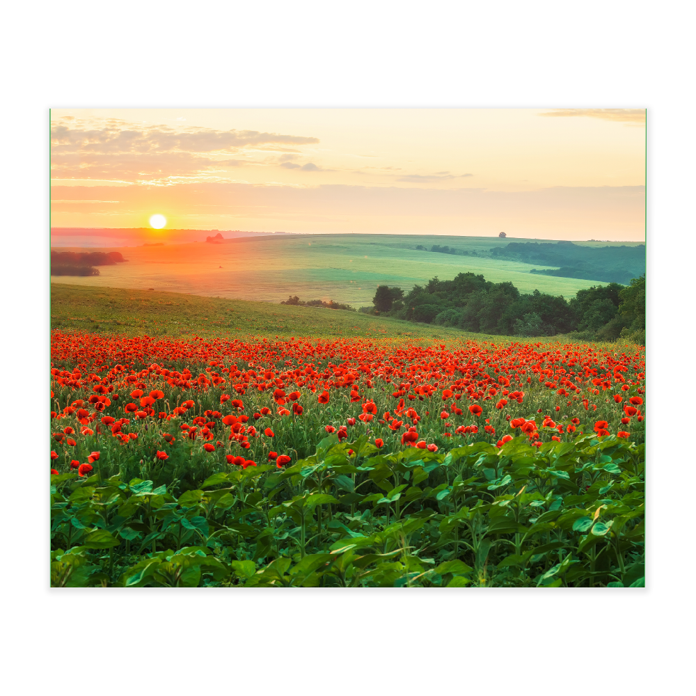 Akustikbillede med motiv af en mark