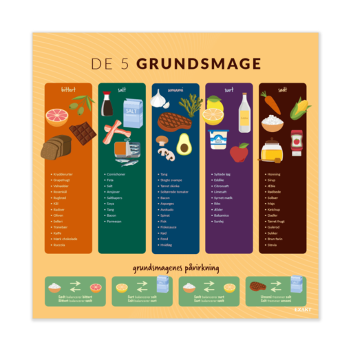 Design med de fem grundsmage til madkundskabslokalet