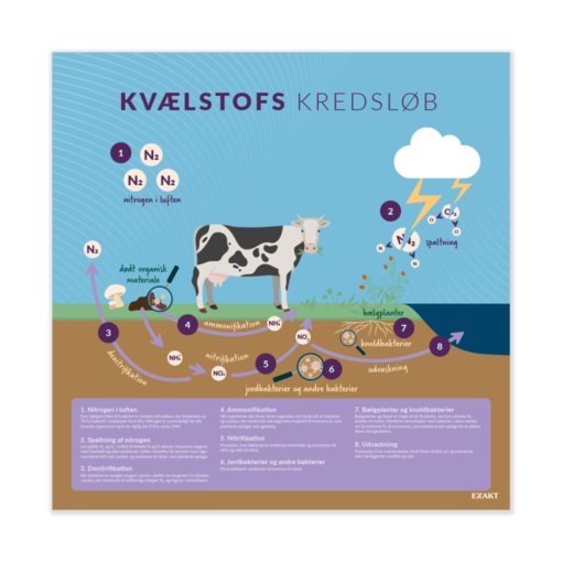 Design med nitrogens kredsløb til grundskolen