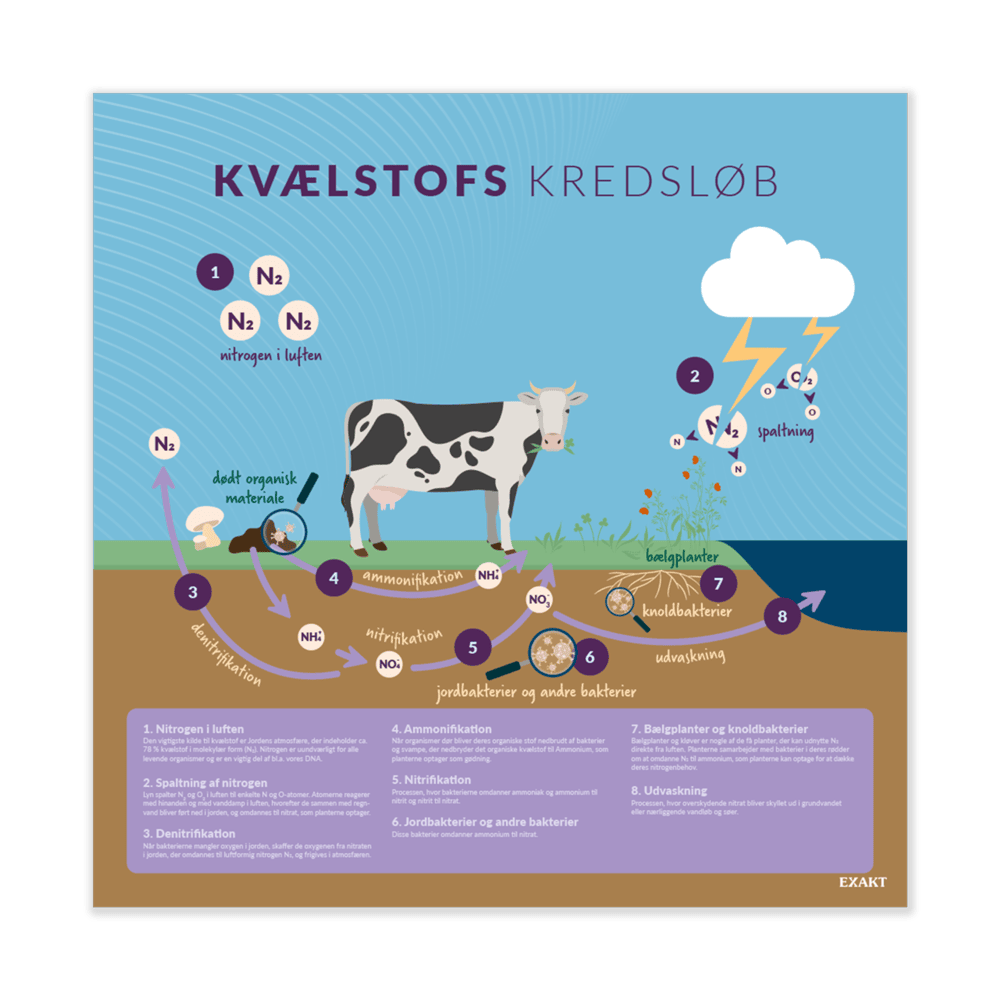 Design med nitrogens kredsløb til grundskolen