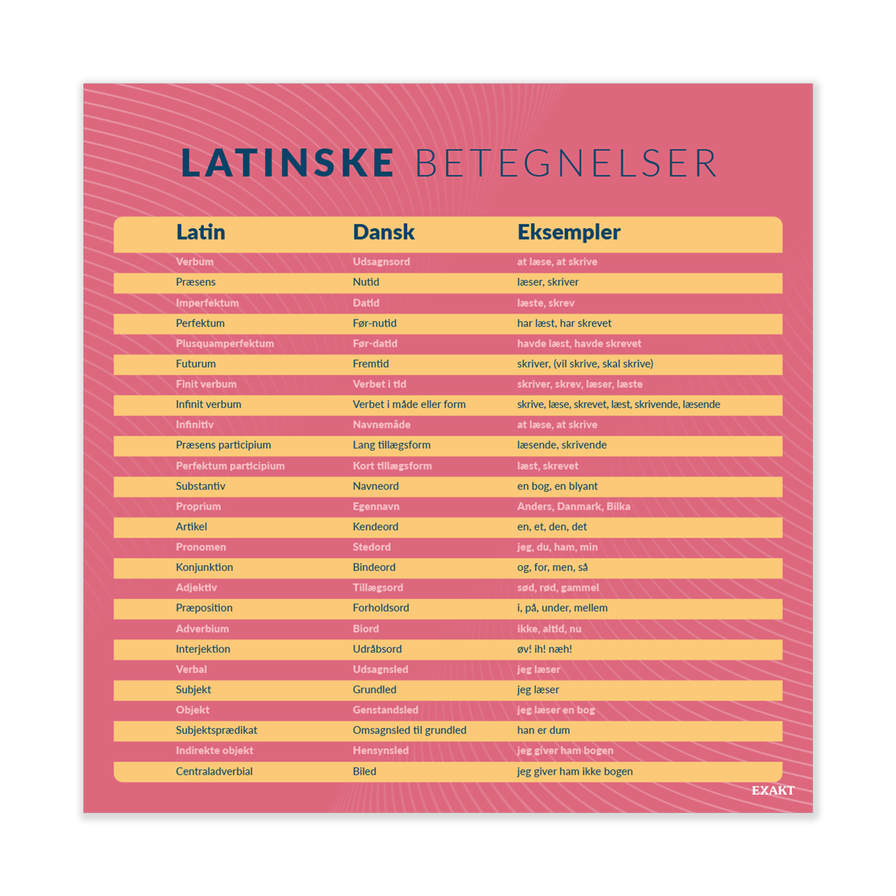 Design med latinske betegnelser til grundskolen