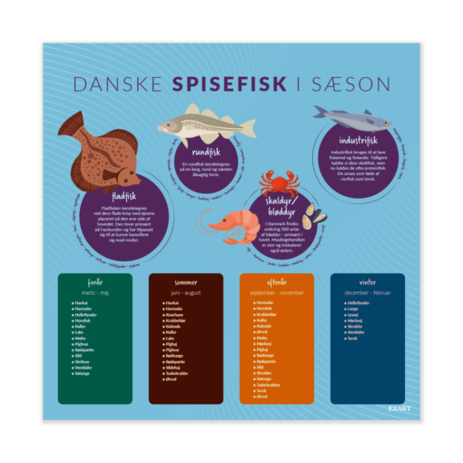 Design med forskellige spisefisk til madkundskabslokalet