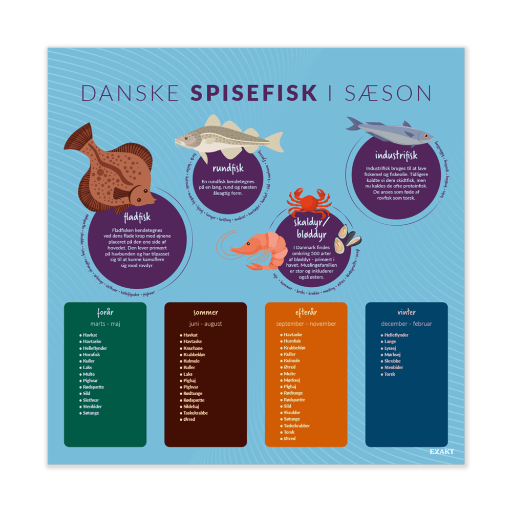 Design med forskellige spisefisk til madkundskabslokalet