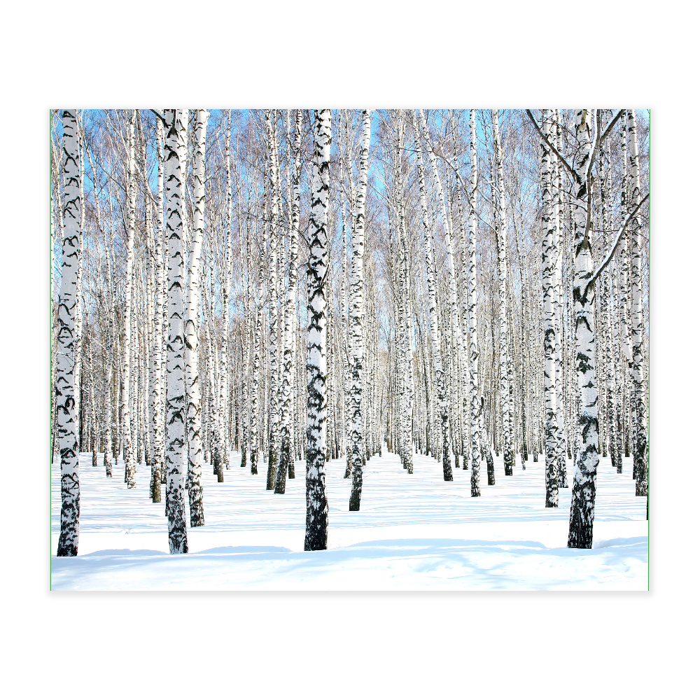 Akustikbillede med motiv af skovområde