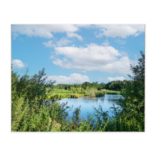 Akustikbillede med motiv af en sø