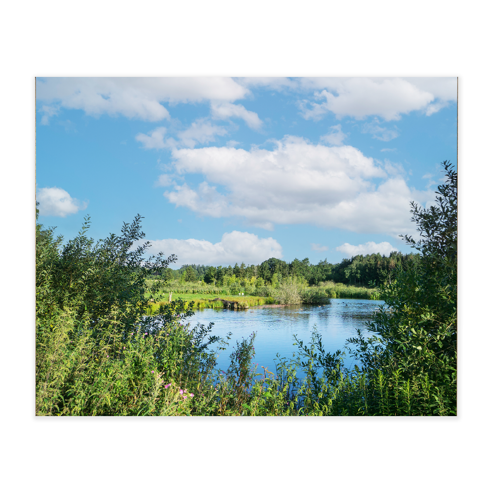 Akustikbillede med motiv af en sø