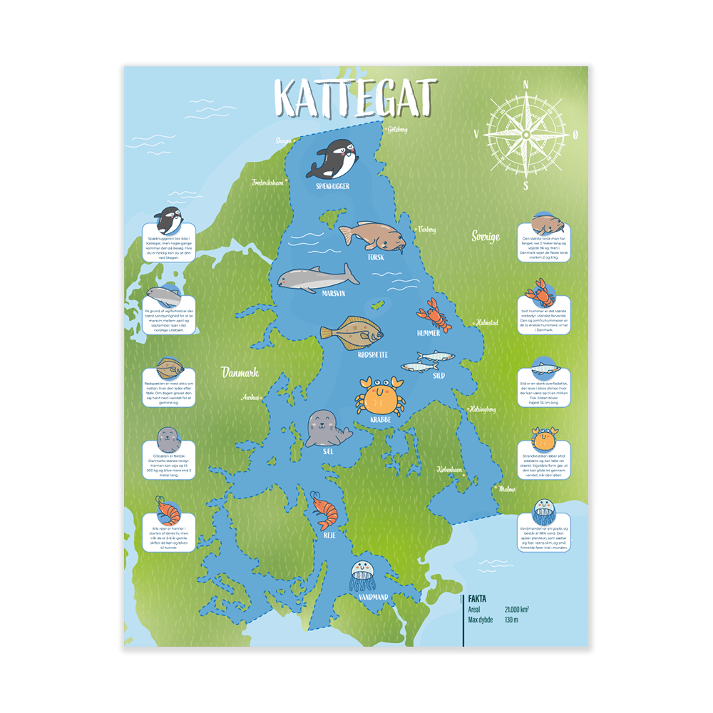 Læringsplade med kort der viser Kattegat