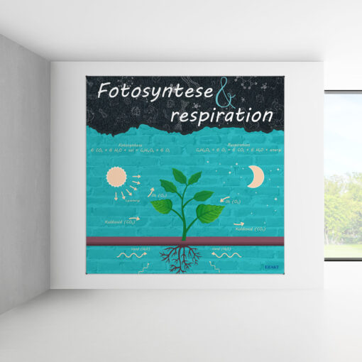 Design med Fotosyntese