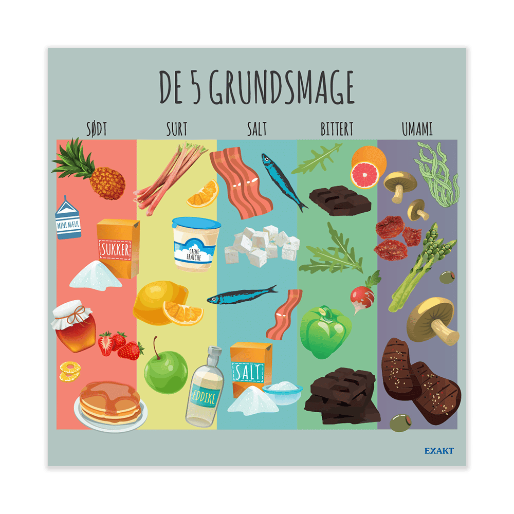 Grundsmag