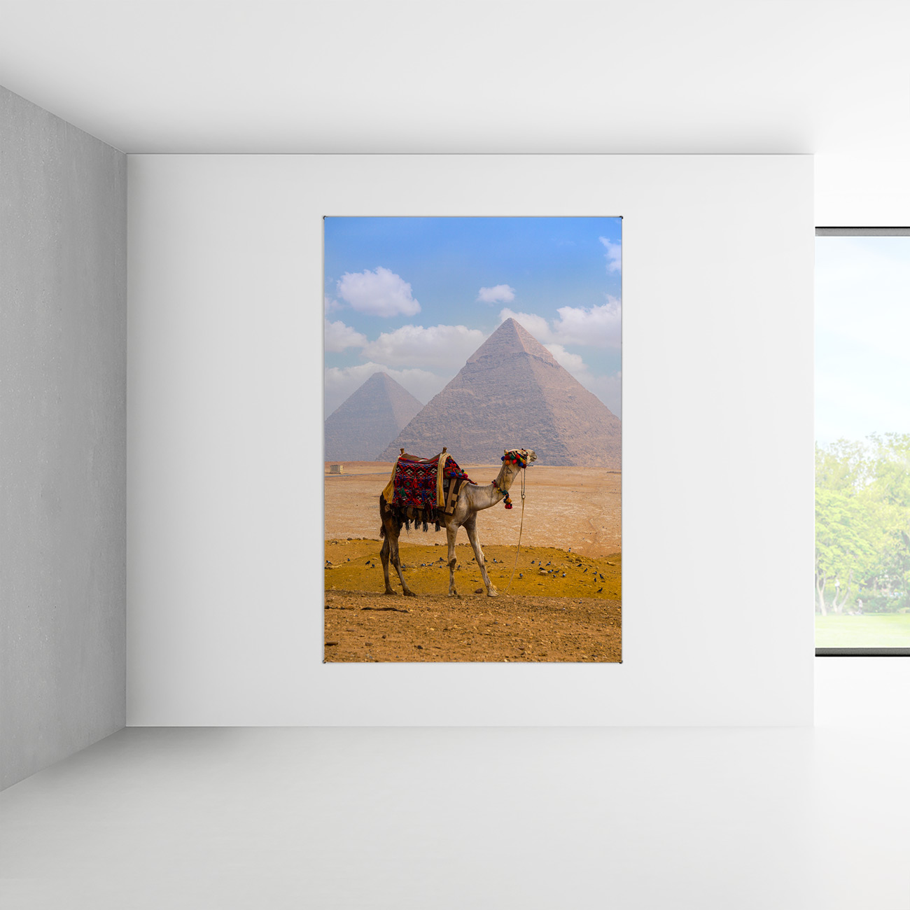 Flot udvalg af dyremotiver med eksotiske dyr, her en kamel foran pyramiderne
