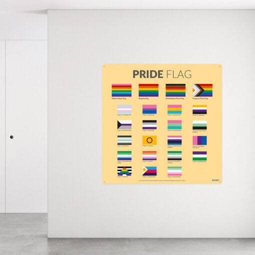 Læringsdesign med alle Pride flagene
