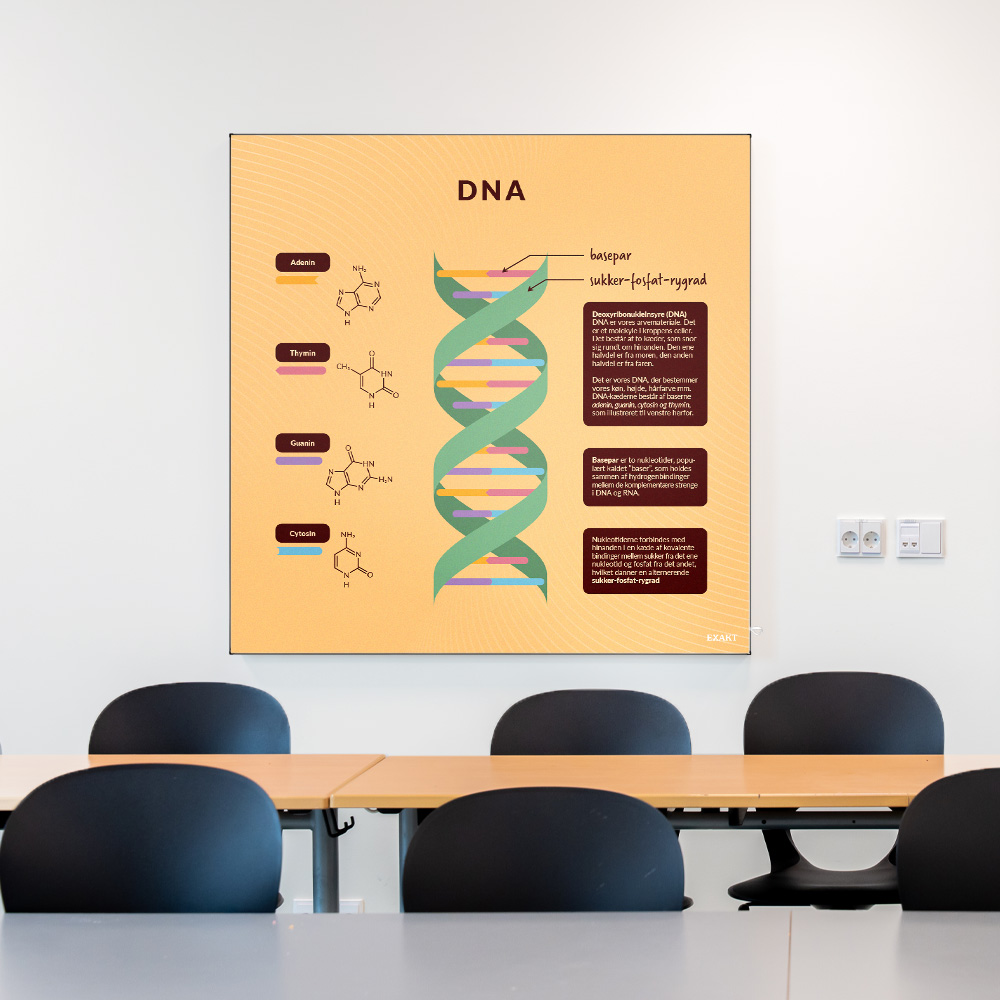 Akustik med DNA til klasselokale
