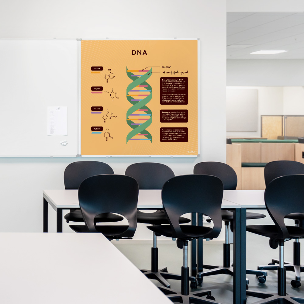 Whiteboard med DNA til klasselokale
