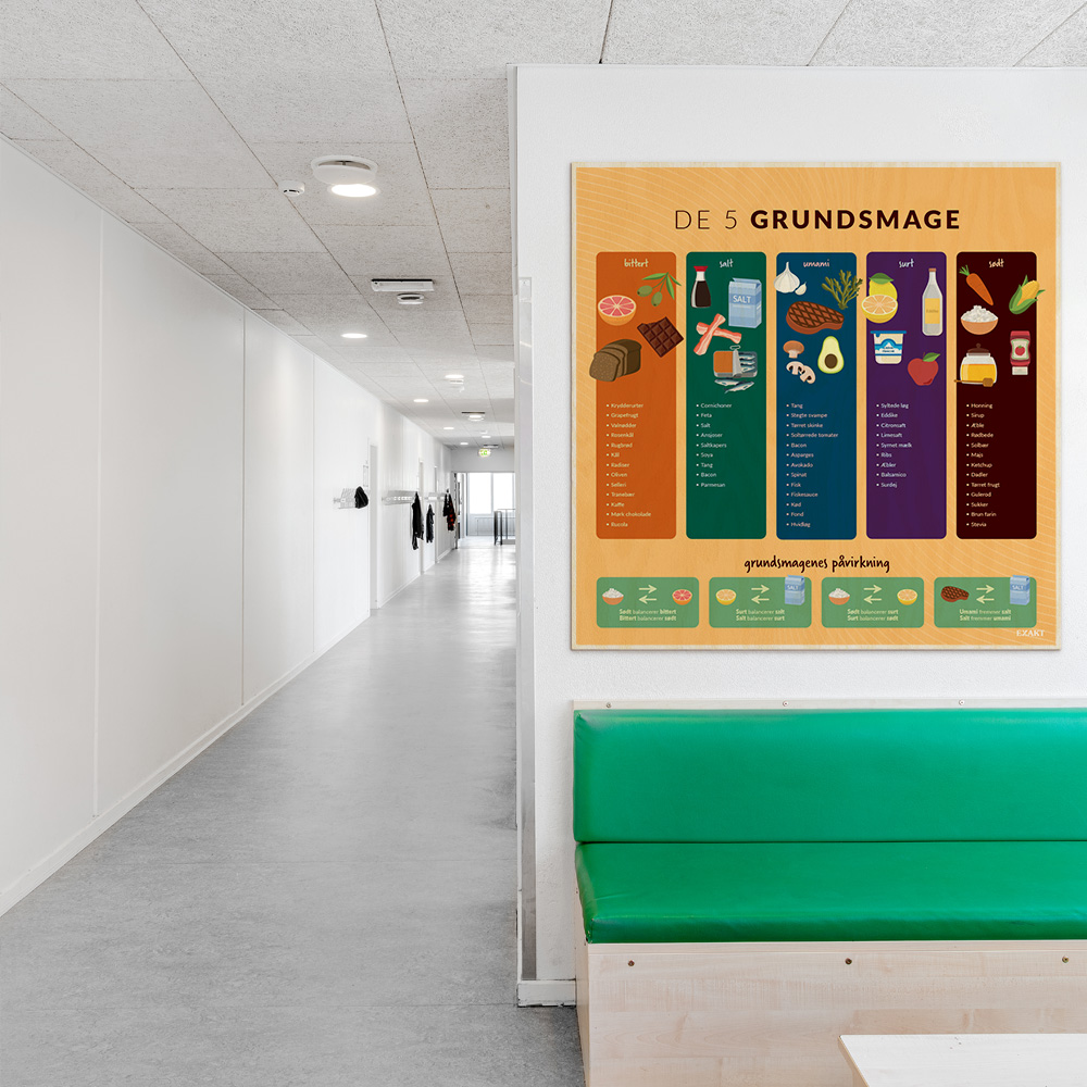 Læringsplade i træfiner med de5fundsmage til klasselokale