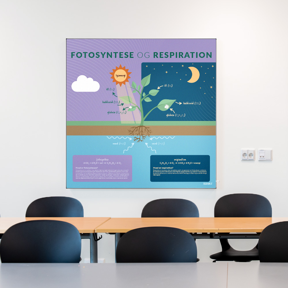 Akustik med FotosynteseRespiration til klasselokale