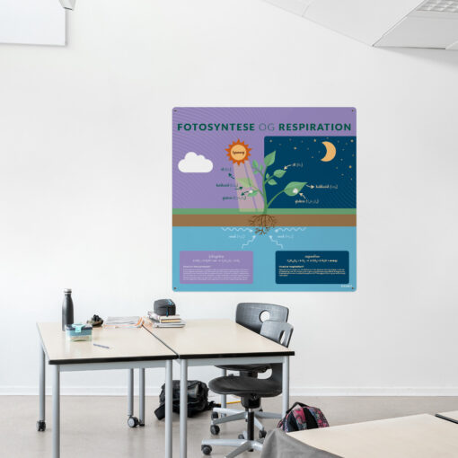 Læringsplade med FotosynteseRespiration til klasselokale