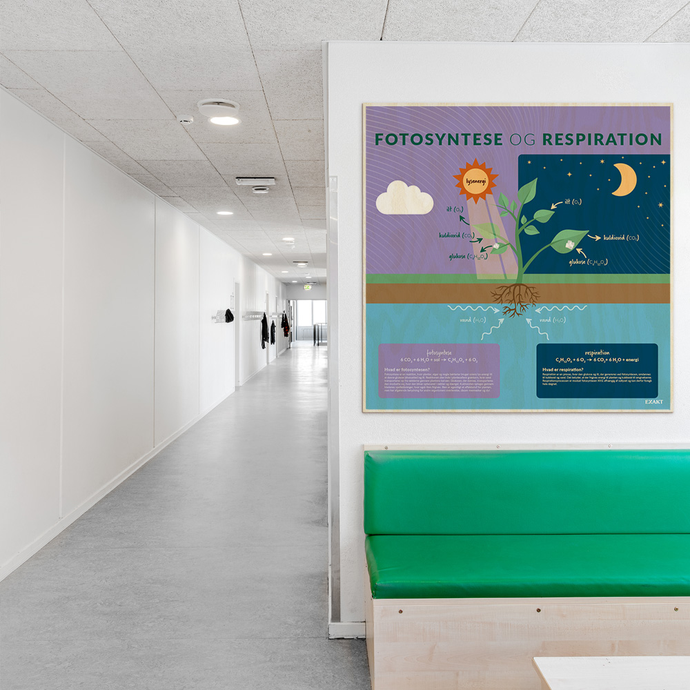 Læringsplade i træfiner med FotosynteseRespiration til klasselokale