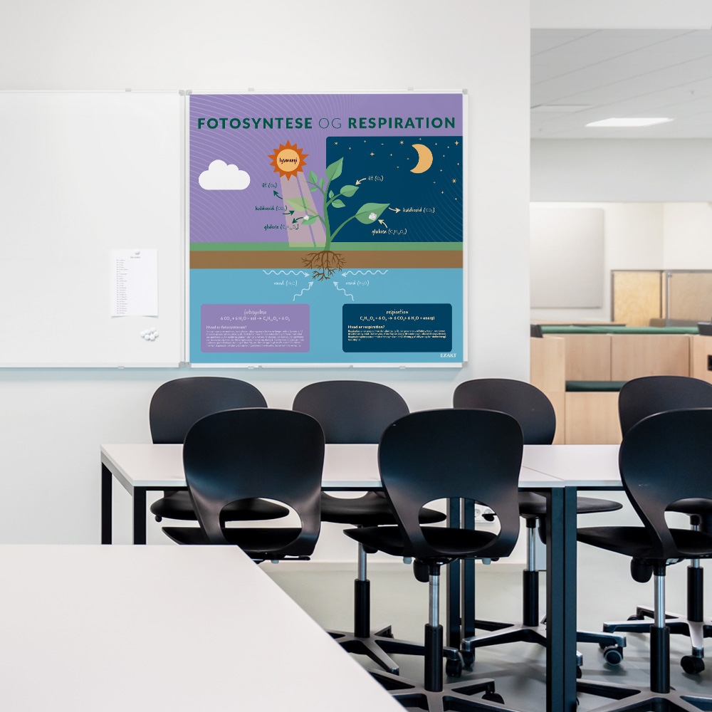 Whiteboard med FotosynteseRespiration til klasselokale