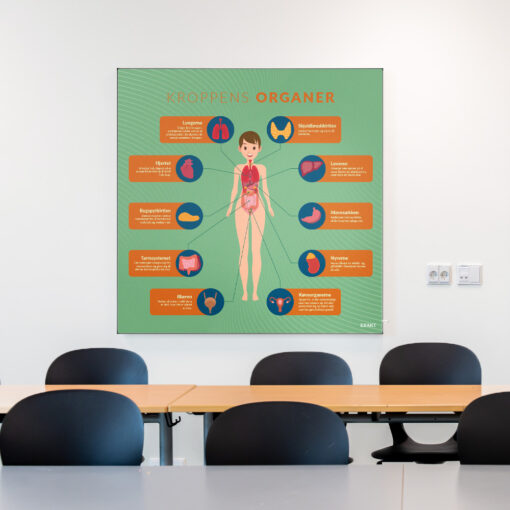 Akustik med KroppensOrganer i klasselokale