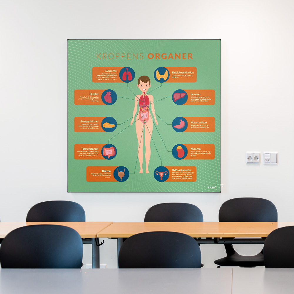 Akustik med KroppensOrganer i klasselokale