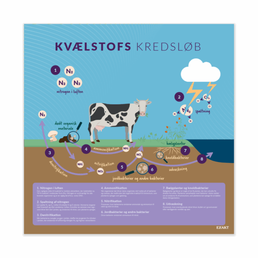 KvælstofsKredsløb