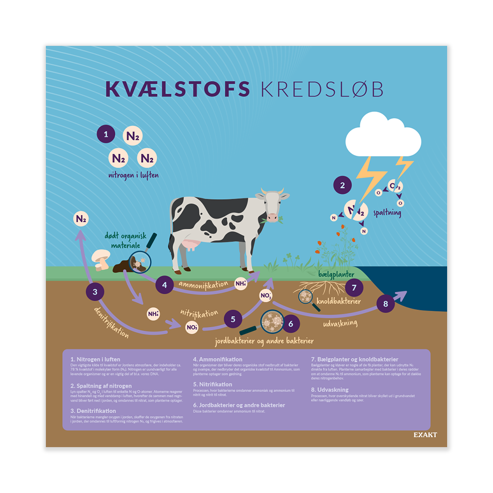 KvælstofsKredsløb