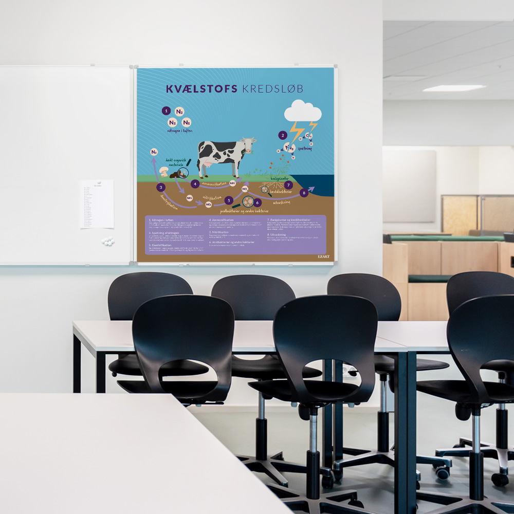 Whiteboard med KvælstofsKredsløb i klasselokale