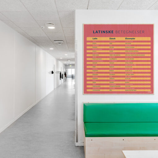 Læringsplade i træfiner med LatinskeBetegnelser i klasselokale