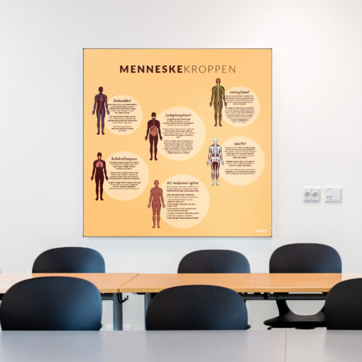 Akustik med Menneskekroppen i klasselokale