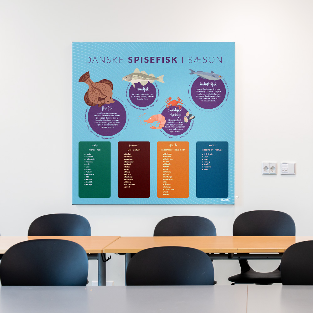 Akustik med spisefisk til klasselokale