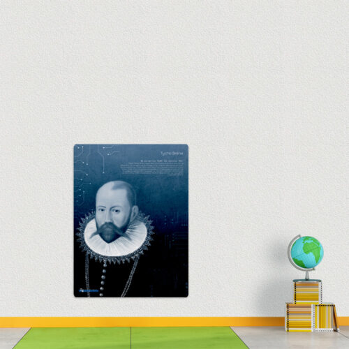 Indret skolen med visuelle medier som læringstavler, akustikbilleder mm. af store personligheder som Tycho Brahe