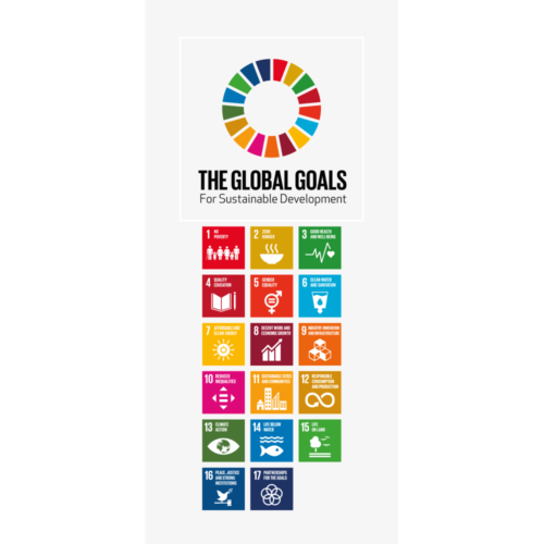 global goals   d rfolie